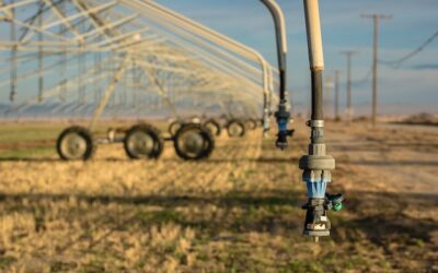 Automate your field irrigation and water drilling for when it is cheapest